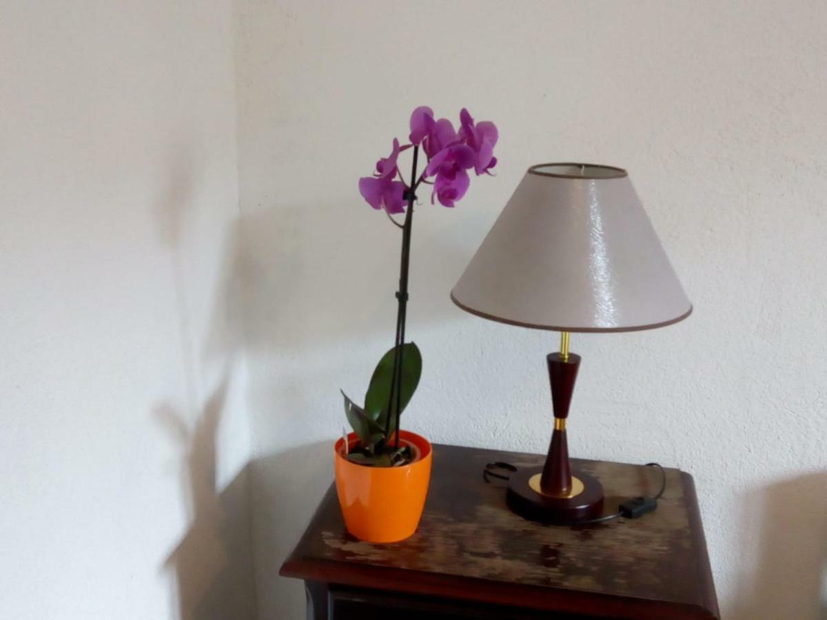 Apartman Teuta Zágráb Kültér fotó