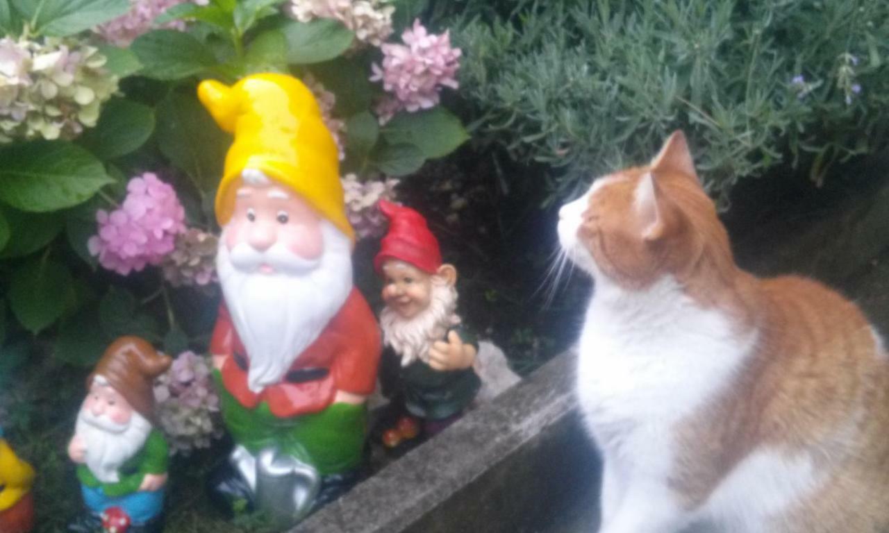 Apartman Teuta Zágráb Kültér fotó