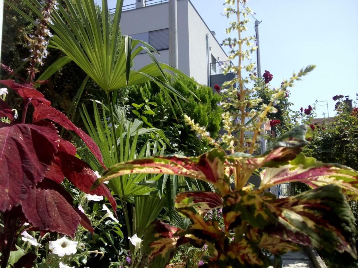 Apartman Teuta Zágráb Kültér fotó
